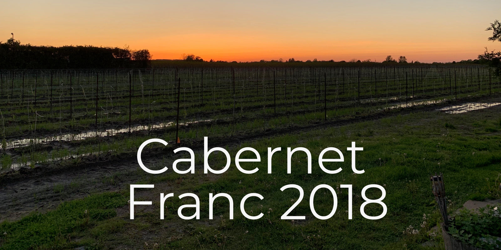Niagara Cab Franc 2018