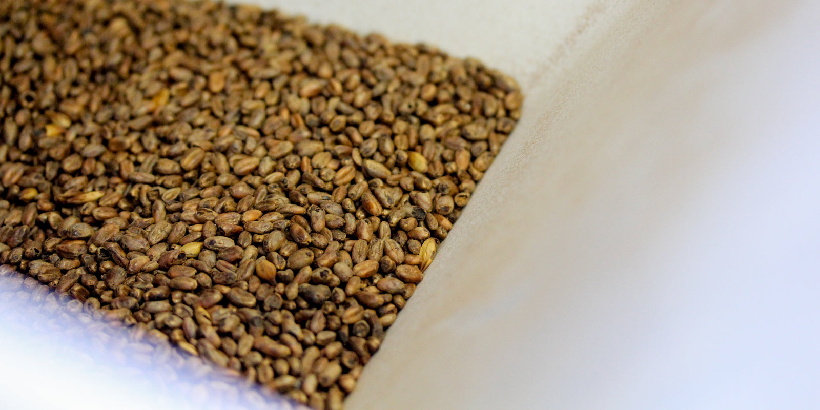 Grain Price Increase | November 2021