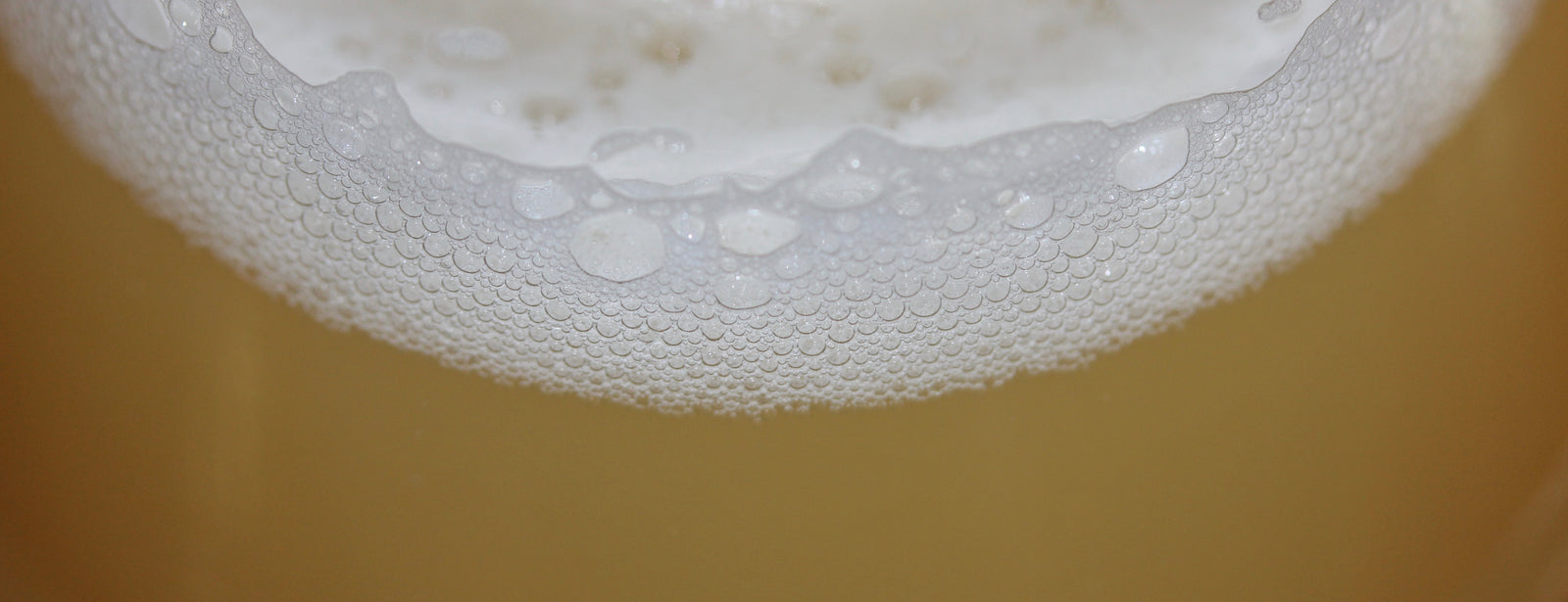 IPA Recipe Kits