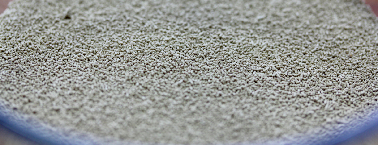 Yeast