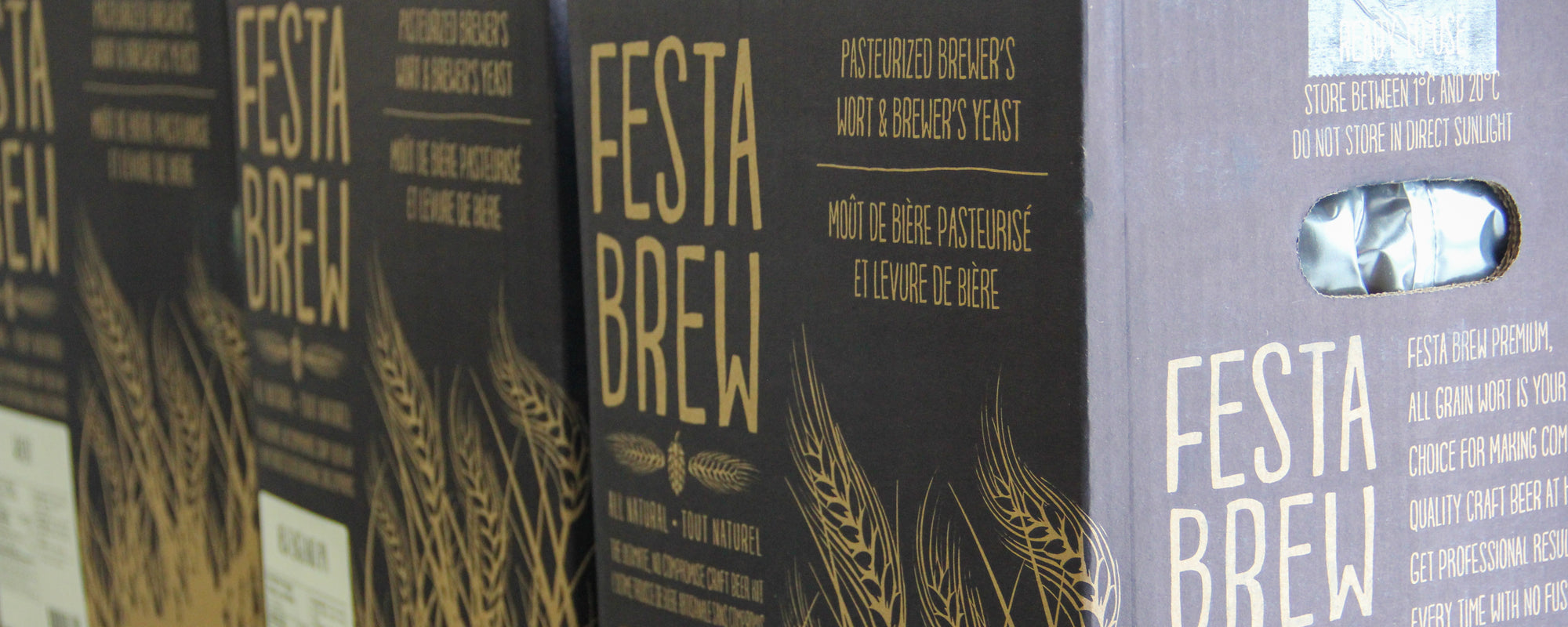 Festa Brew Craft Beer Kits