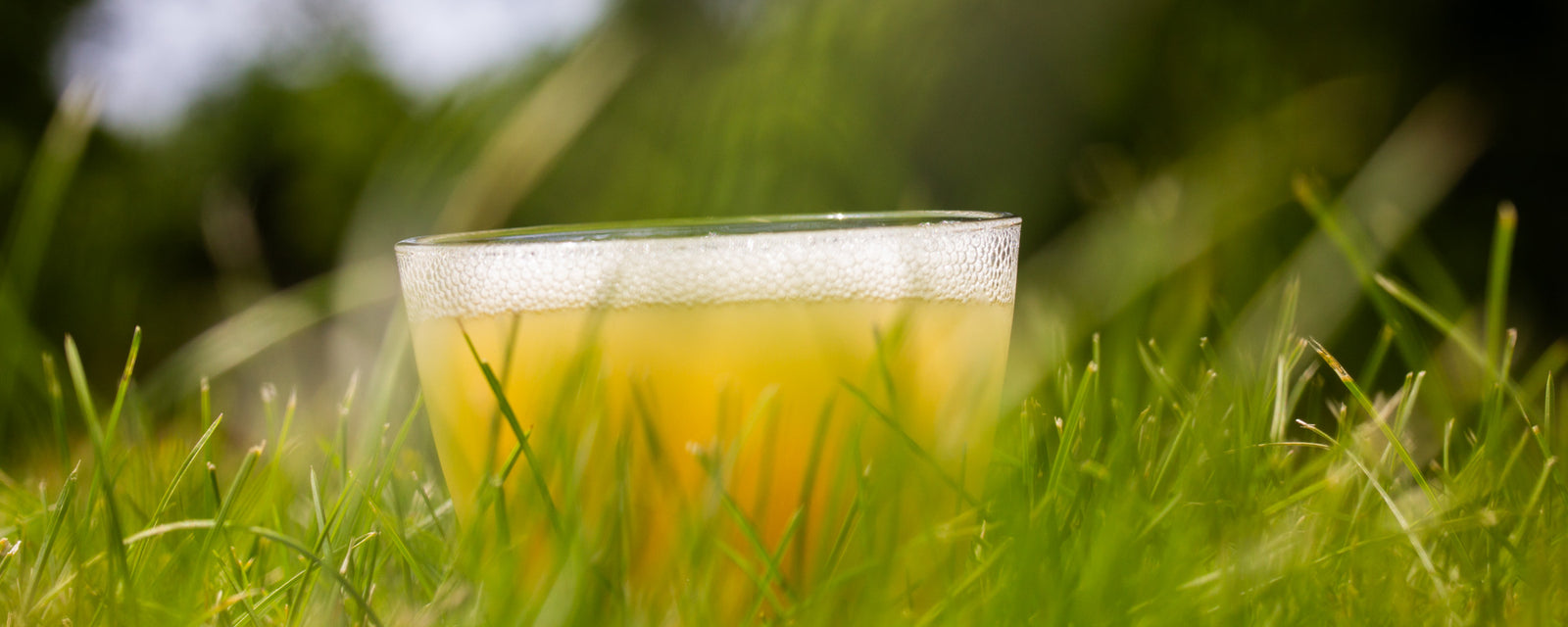 Beginner Recipe Kits