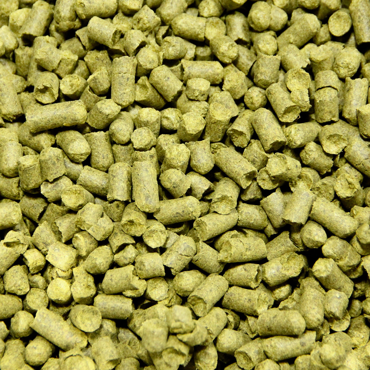 Simcoe Hops