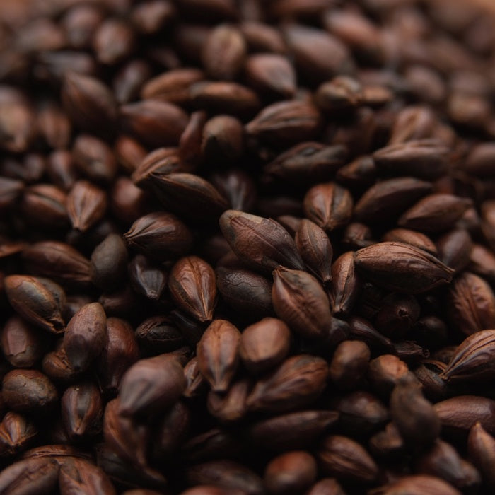 Roasted Barley
