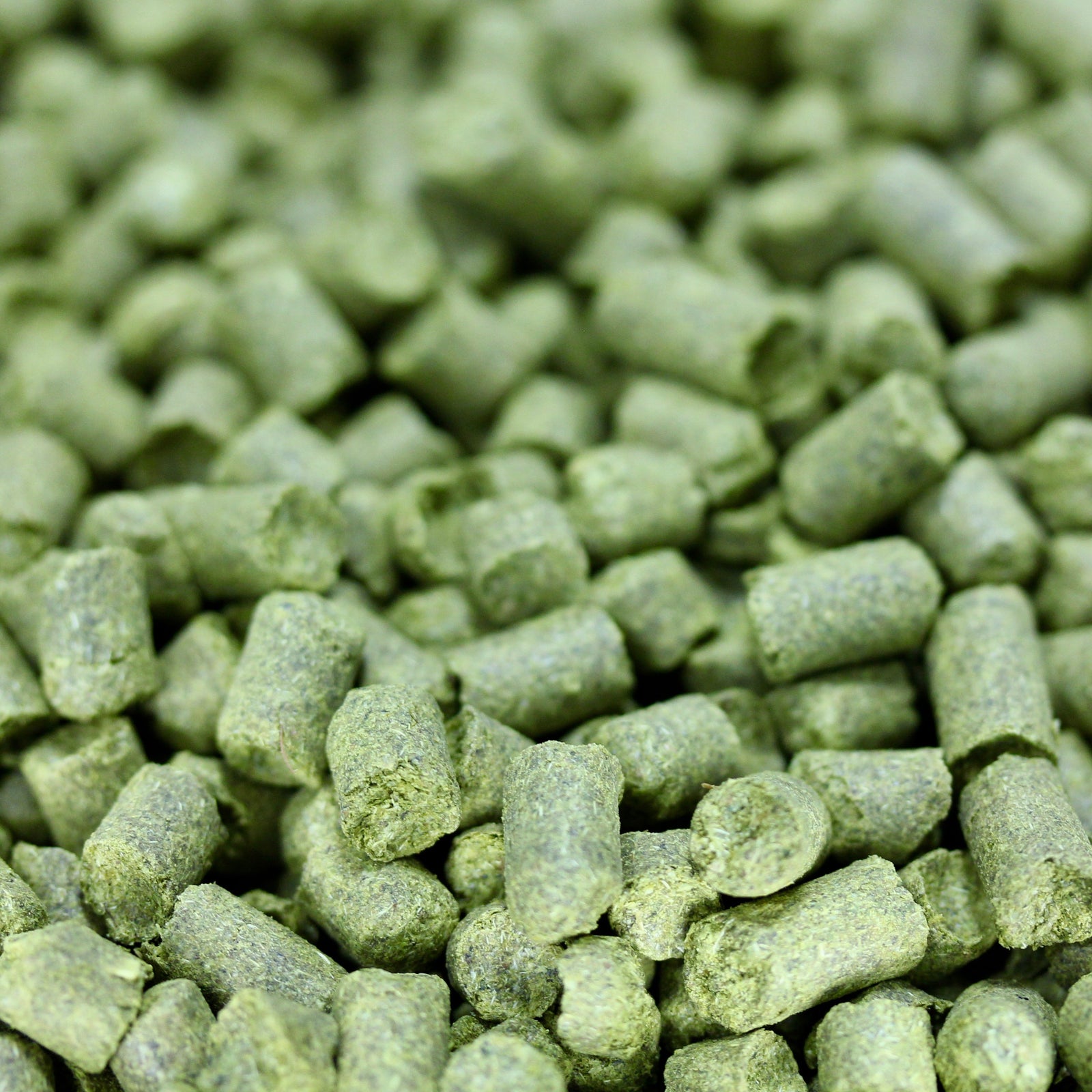 Sorachi Ace Hops