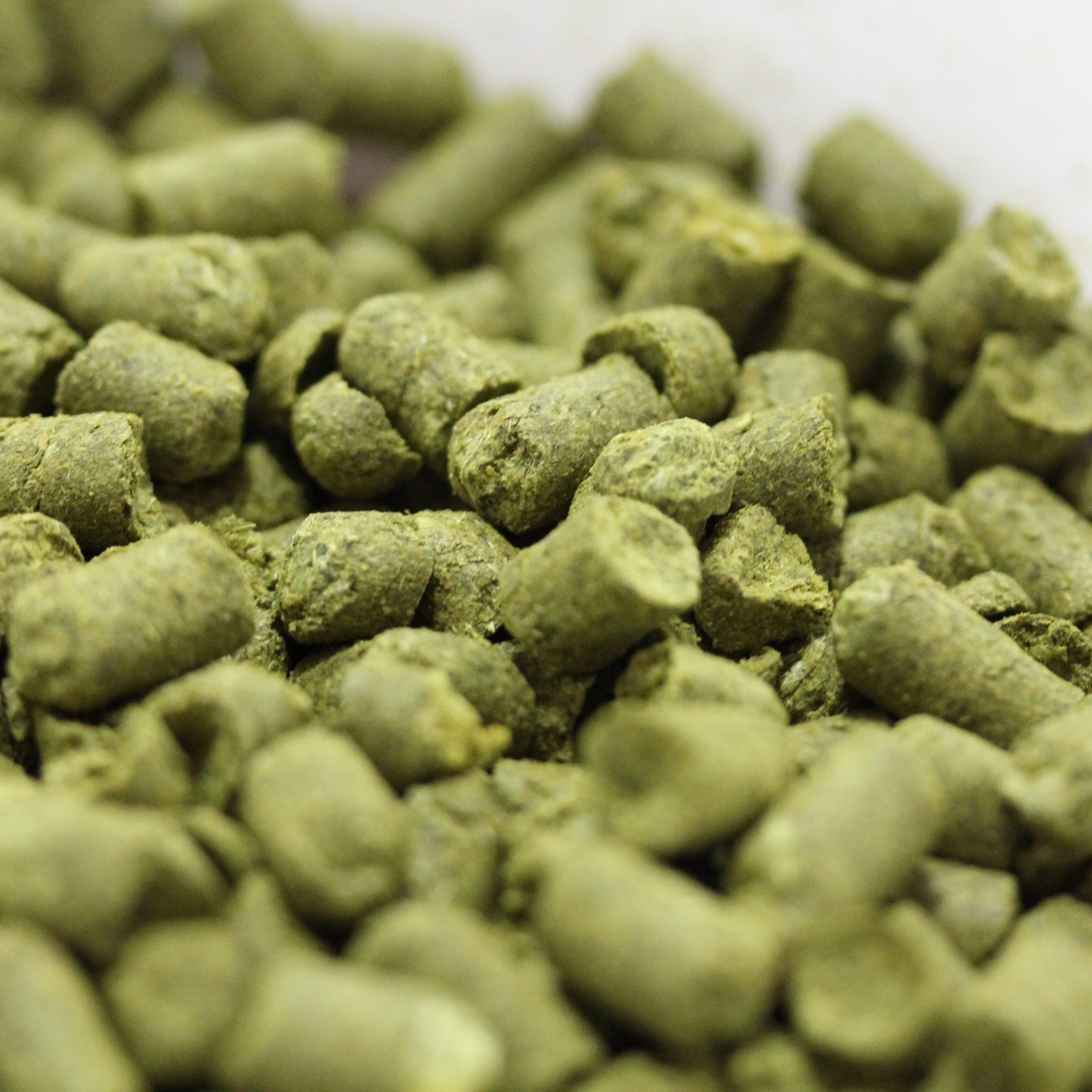 Sequoia (HS-1228) Hops