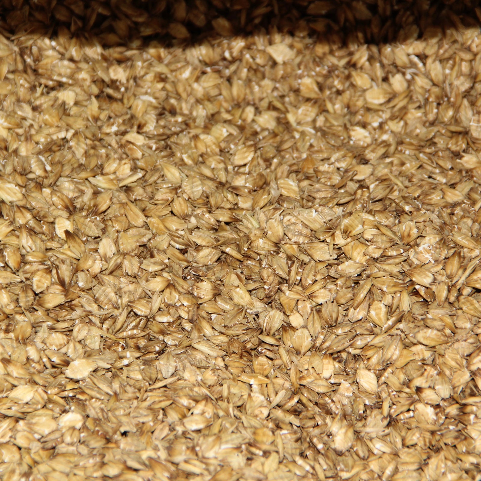 Flaked Barley