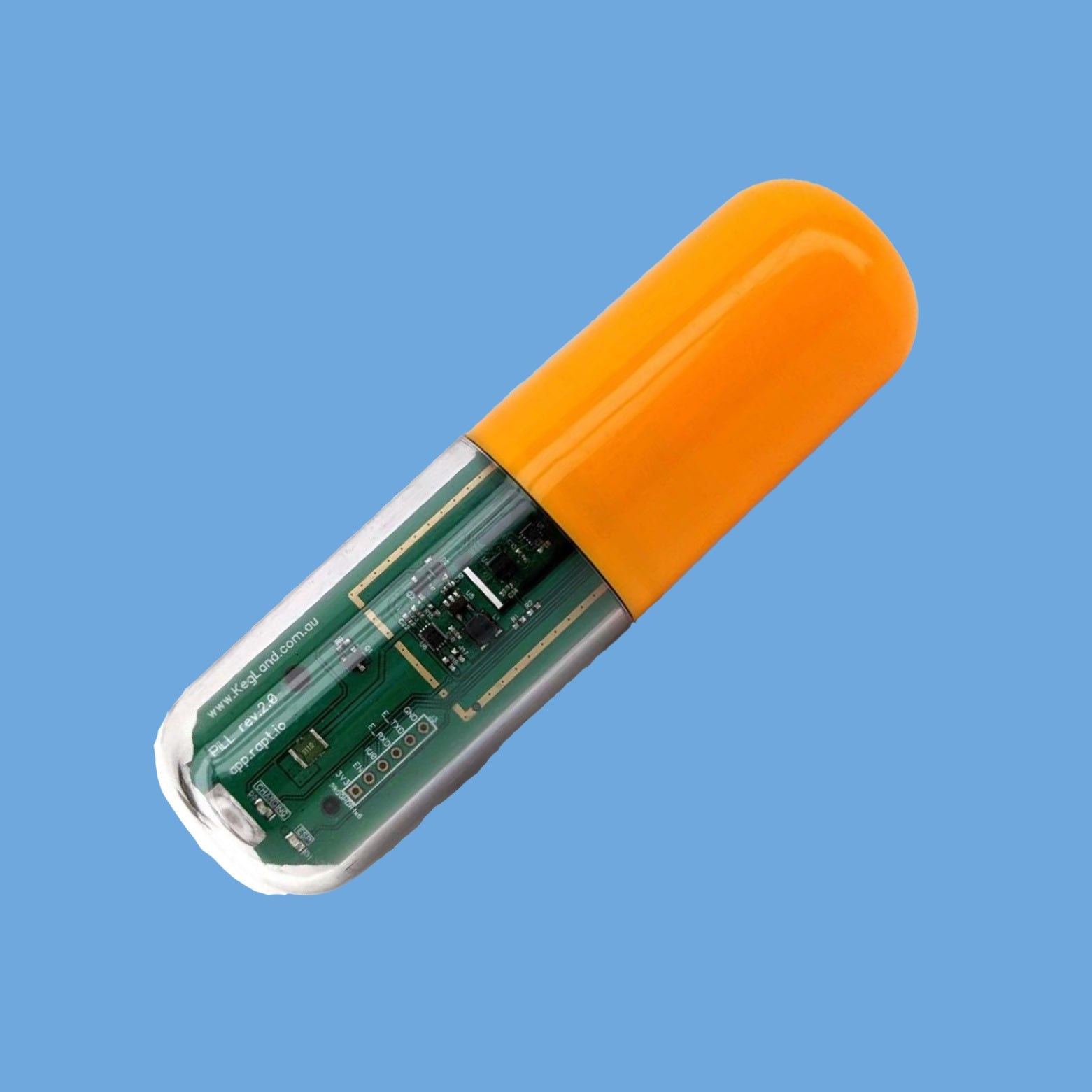 RAPT PILL Wireless Hydrometer & Thermometer | WIFI & Bluetooth