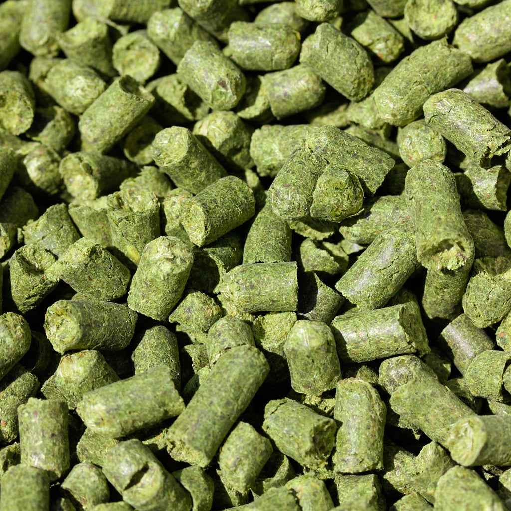 Strisselspalt Hops
