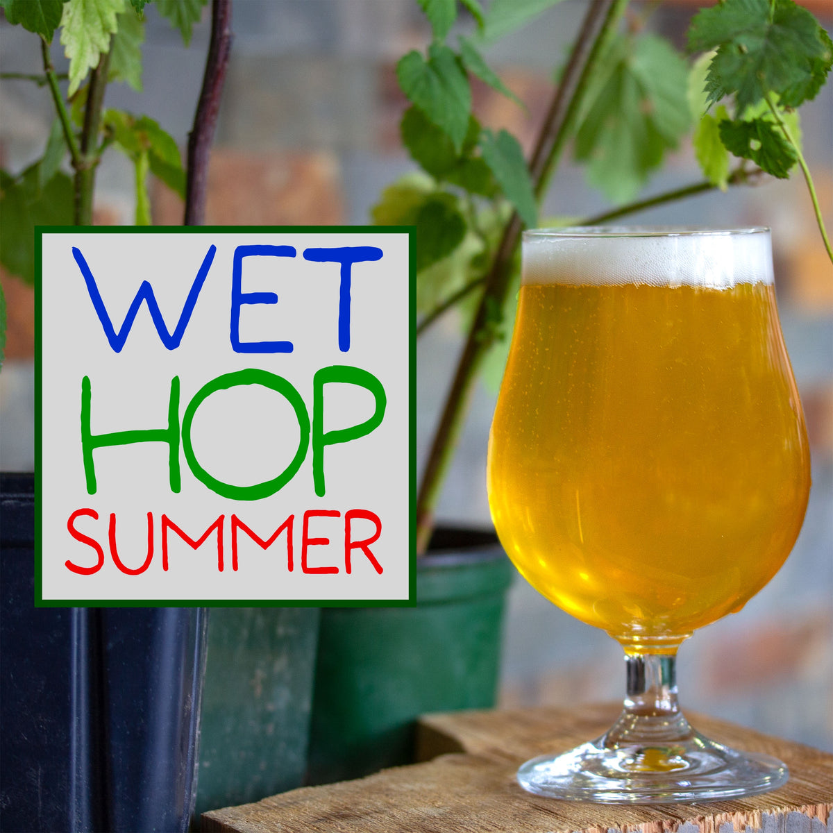 Wet HOP Summer