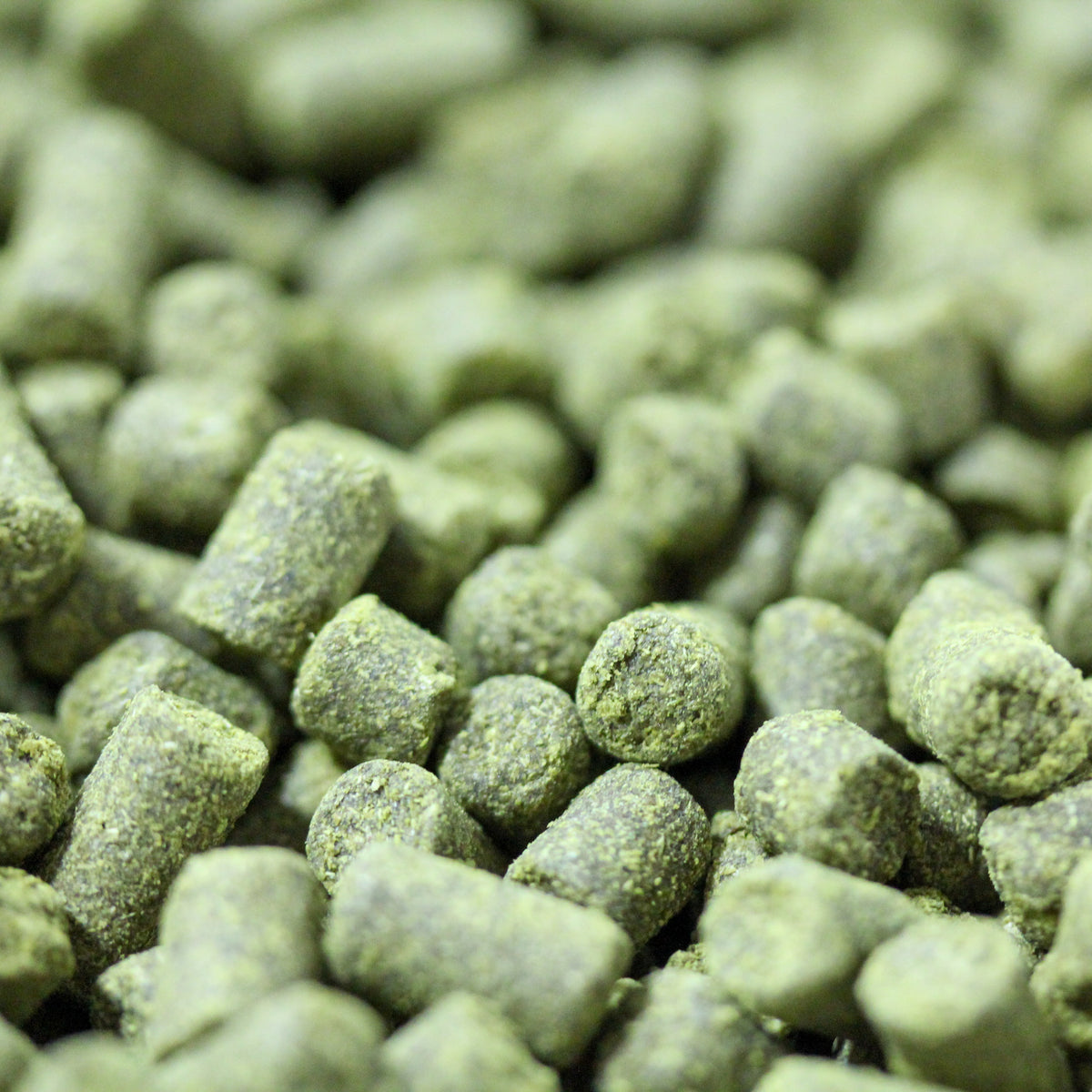 Sabro - Cryo Hops (1oz)
