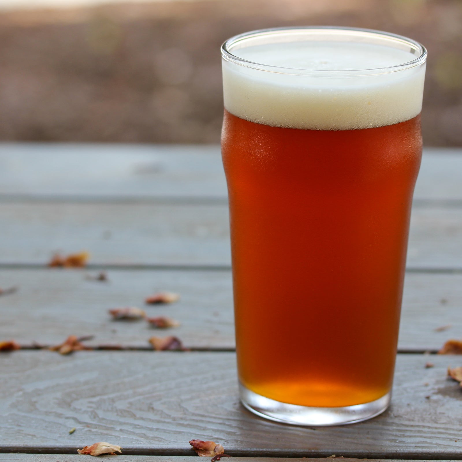 Cheat Code Märzen