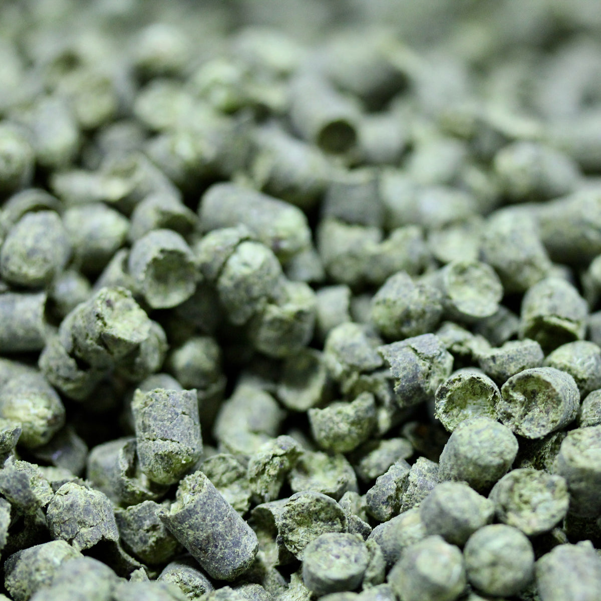 Tettnanger Hops