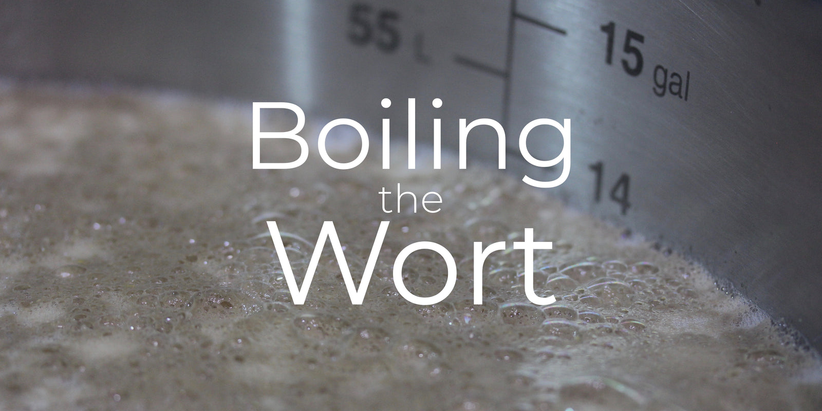 Boiling the Wort