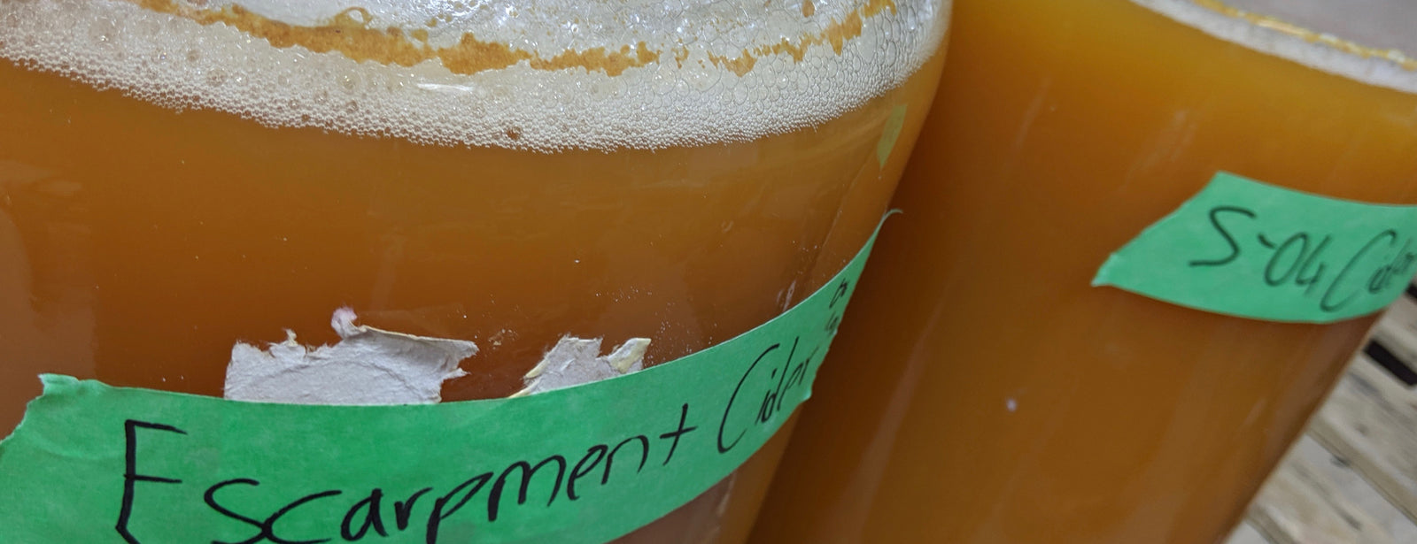 Cider Yeast