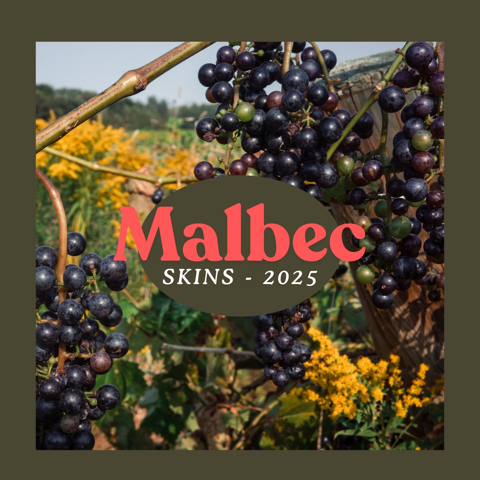 Malbec 2025 - for Home Winemakers