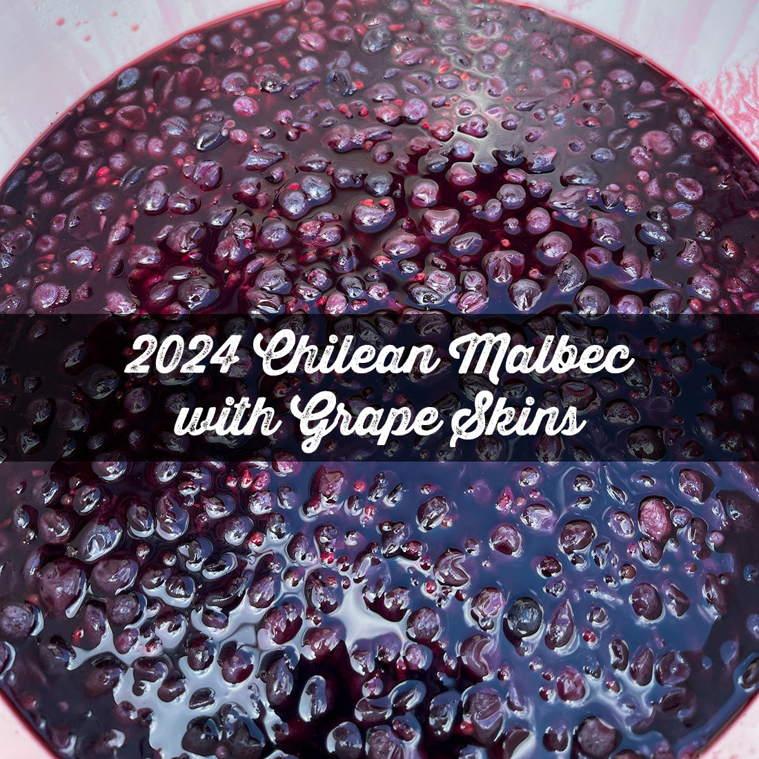 Malbec 2024 - for Home Winemakers