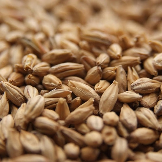 Dingemans Belgian Pale Malt KJ Urban Winery & Craft Brewing Supplies Inc.