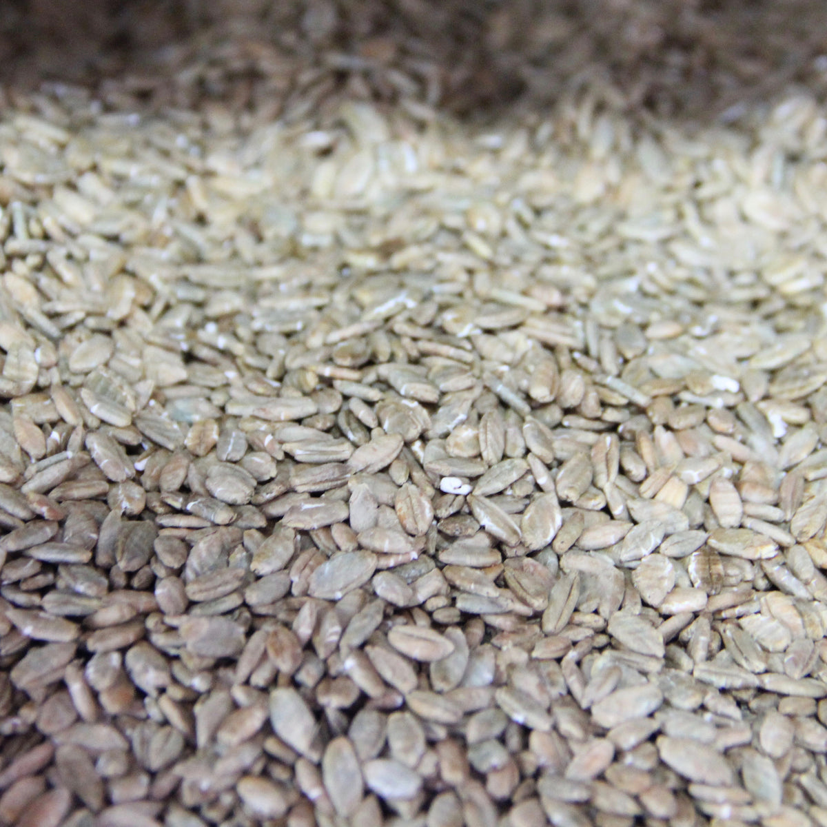 Flaked Rye - KJ Urban Winery & Craft Brewing Supplies Inc.