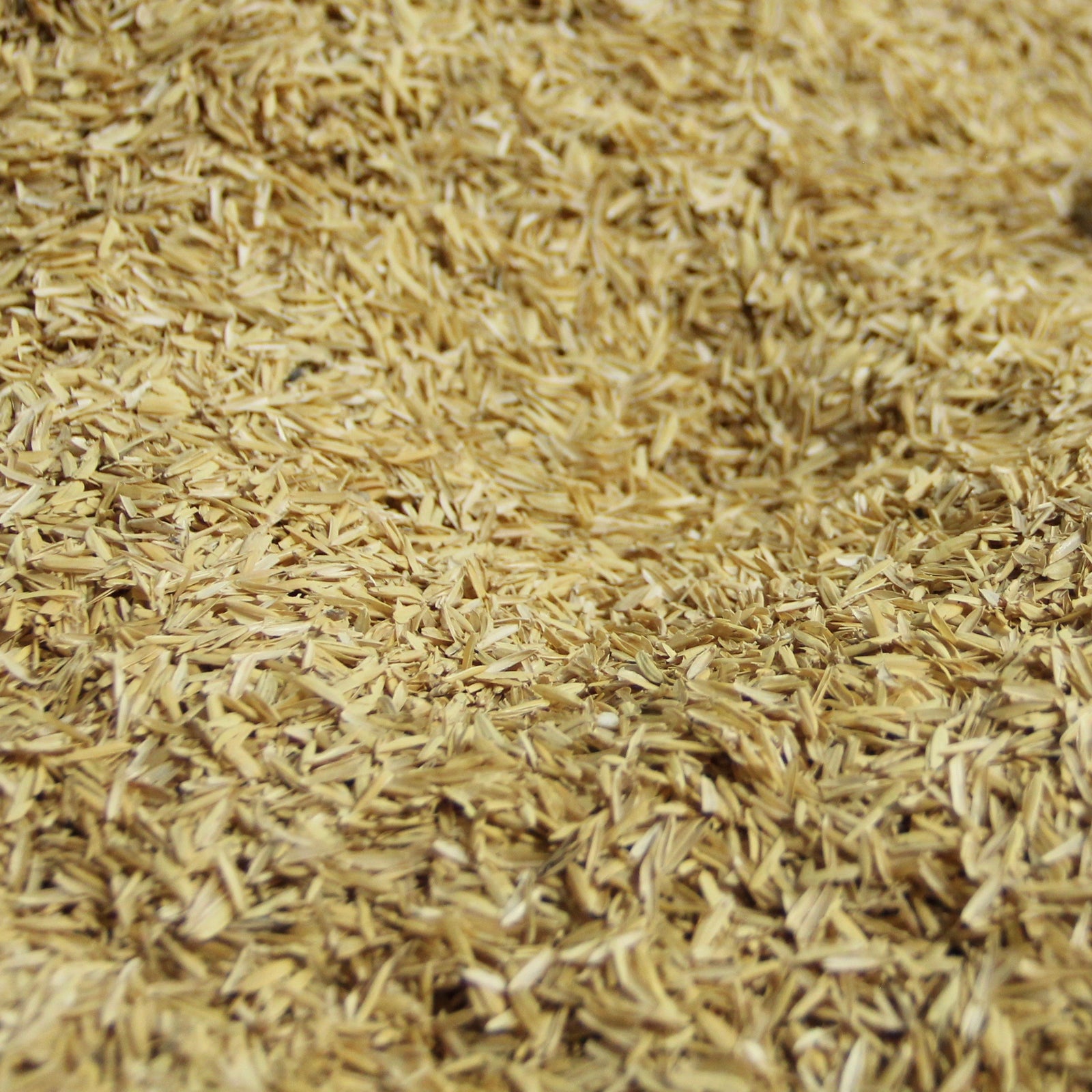 Rice Hulls