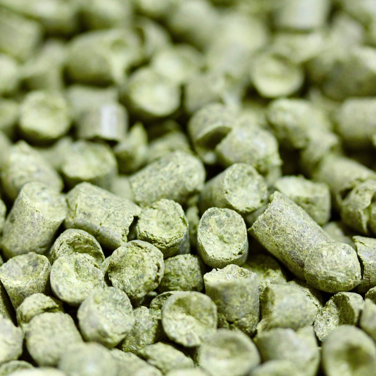 Hallertau Hops