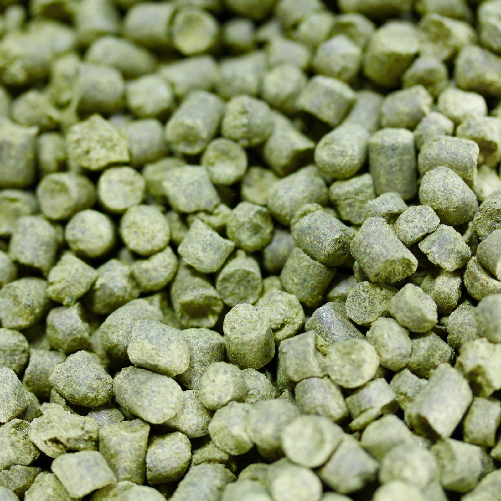 Columbus Hops