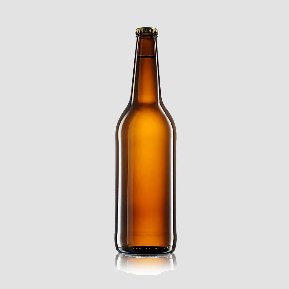 Breamer - Amber 500ml Beer Bottle