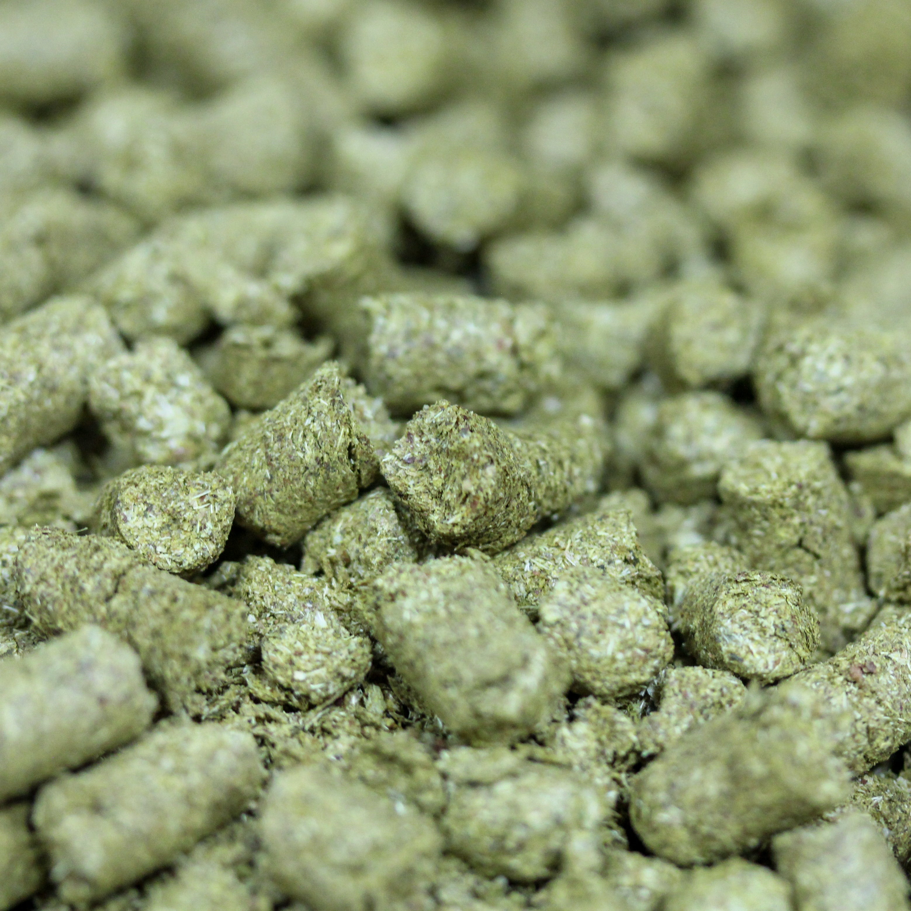 Brewers Gold Hops - KJ Urban Winery & Craft Brewing Supplies Inc.