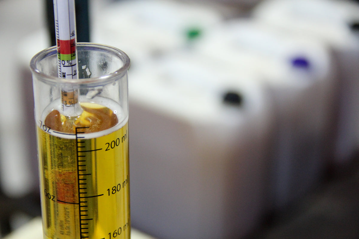 Fresh Apple Cider - 11.5L