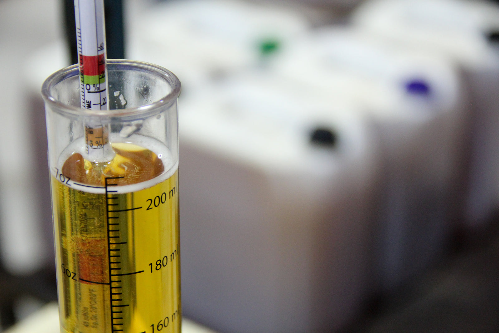 Fresh Apple Cider - 11.5L