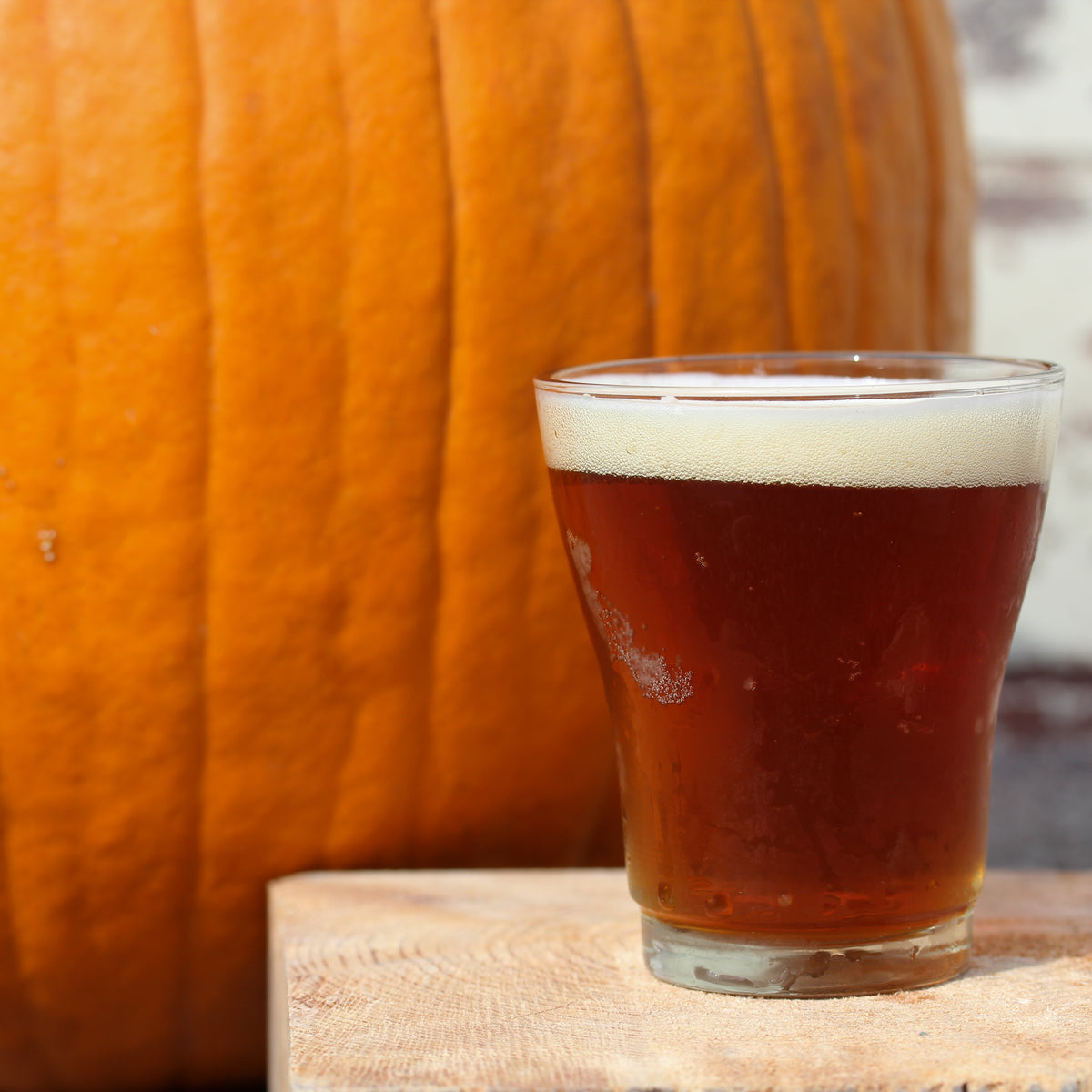 Lazy Pumpkin Ale