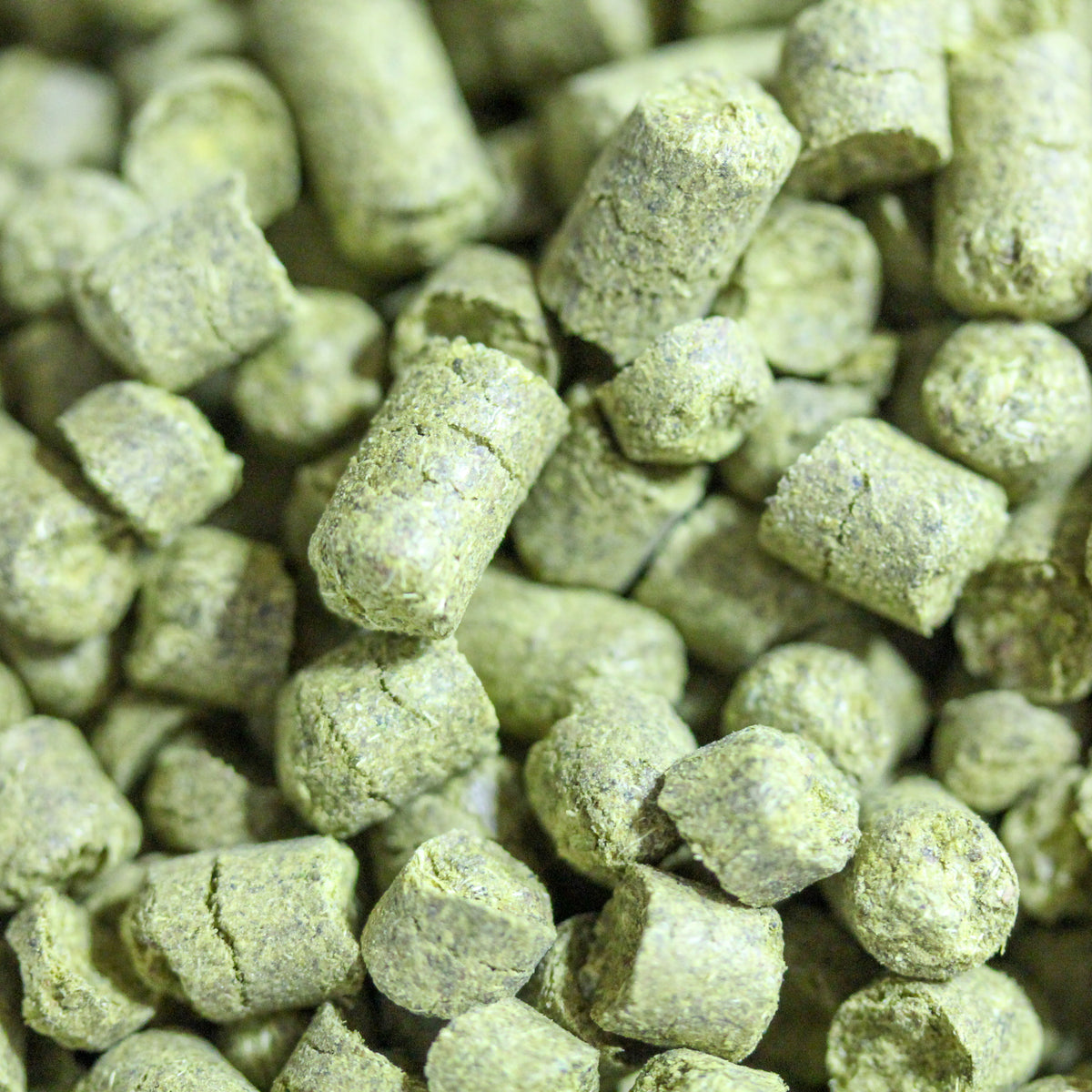 Zamba Hops